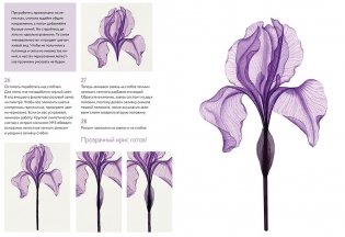 Прозрачные цветы акварелью. Рисуем в технике «рентген» фото книги 5