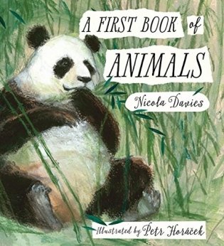 A First Book of Animals фото книги