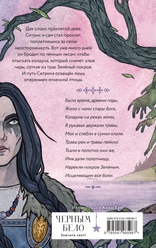 Руны огненных птиц фото книги 2