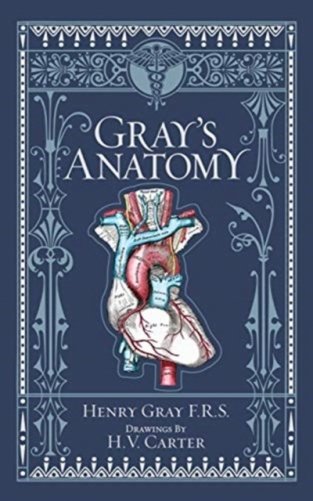 Gray`s anatomy (barnes & noble collectible classics: omnibus edition) фото книги