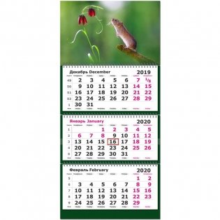 Календарь на 2020 год "Символ года с цветочком", 305х675 мм фото книги
