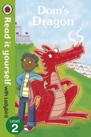 Dom's Dragon фото книги