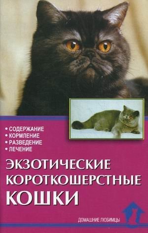 Экзотические короткошерстные кошки. Содержание, кормление, разведение, лечение фото книги