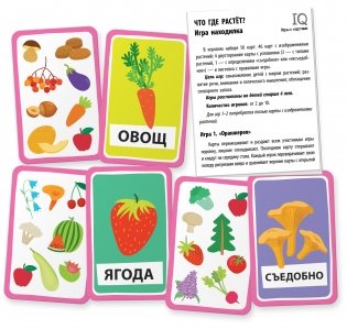 Умные игры с картами. Что где растёт? Игра находилка фото книги 3