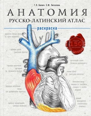 Анатомия: русско-латинский атлас-раскраска фото книги