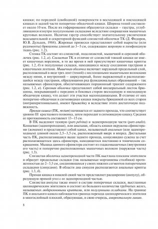 Основы колопроктологии фото книги 9