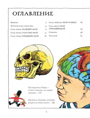 Головной мозг фото книги 3