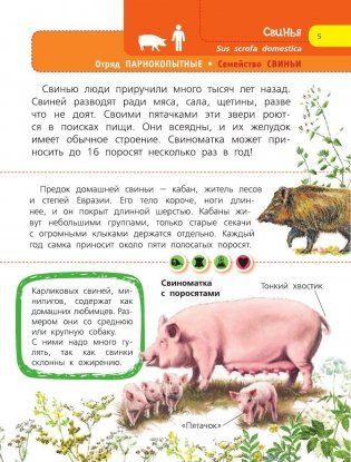 Домашние животные фото книги 6