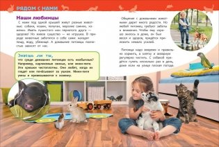 Домашние питомцы. Энциклопедия для детского сада фото книги 2