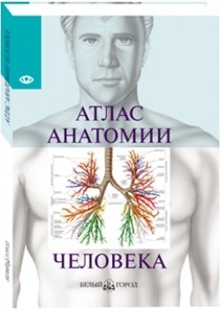 Атлас анатомии человека фото книги