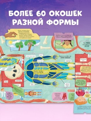 Большая книга с окошками. Тело человека фото книги 9