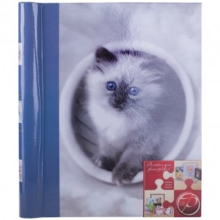 Фотоальбом "K. Kimberlin: F. Kittens" (20 листов) фото книги