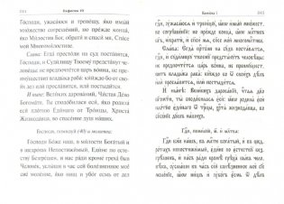 Псалтирь учебная. На церковно-славянском языке, гражданским шрифтом и в переводе П. Юнгерова фото книги 5