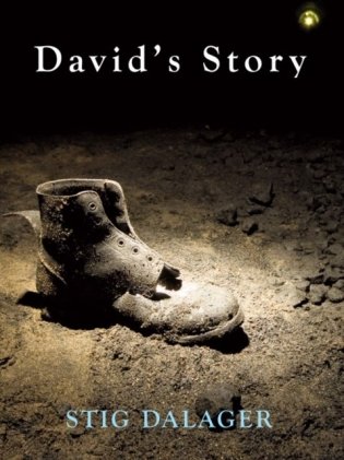 David`s story фото книги