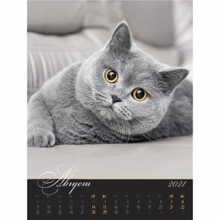Загадочные кошки. Календарь настенный на пружине на 2021 год фото книги 8