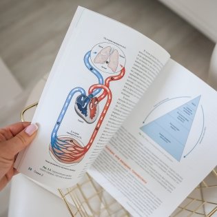 Анатомия бега фото книги 4