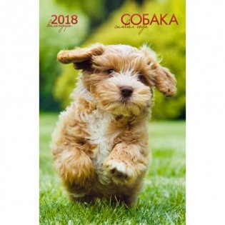 Календарь настенный перекидной на 2018 год "Символ года. Собаки" (вертикальный) фото книги