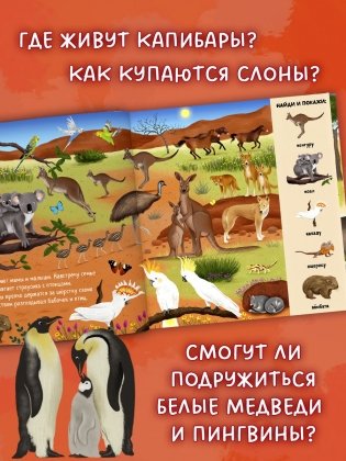 Найди и покажи. Животные со всего мира фото книги 5