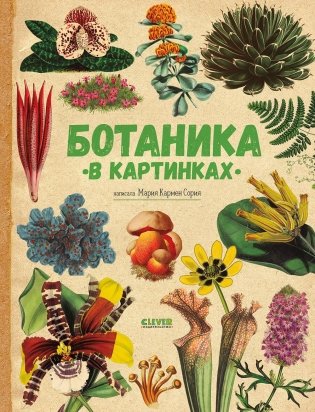 Ботаника в картинках фото книги