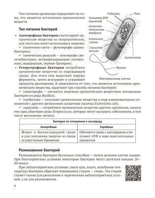 Биология для поступающих в вузы. Подготовка к устному экзамену фото книги 7