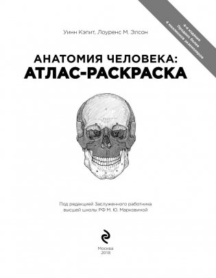 Анатомия человека: атлас-раскраска фото книги 2