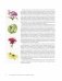 Ботаническая иллюстрация с удовольствием. Пошаговое руководство по изображению цветов, листьев, плодов и других элементов растений фото книги маленькое 7
