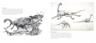 Jay Matternes фото книги 7