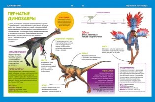 Динозавры большие и маленькие. Детская энциклопедия фото книги 6