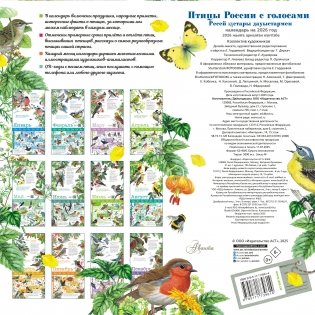 Календарь Птицы России с голосами 2026 год фото книги 4