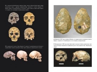 Загадка Денисовского человека. Потерянное звено в истории человечества фото книги 8