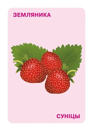 Дидактические карточки «Ягоды» (на русском и белорусском языках). 4-7 лет фото книги 4