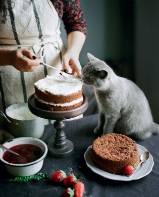 Будешь торт? фото книги 14