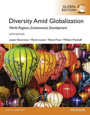 Diversity Amid Globalization. World Religions, Environment, Development фото книги
