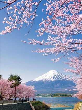 1000 лучших мест планеты, которые нужно увидеть за свою жизнь. 4-е изд. испр. и доп. (стерео-варио сакура) фото книги