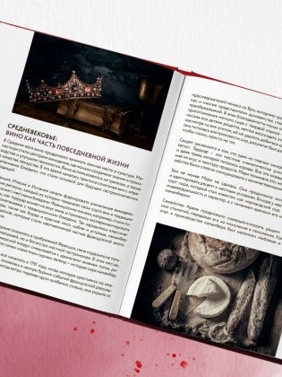 Вино к еде. Искусство идеального сочетания фото книги 5