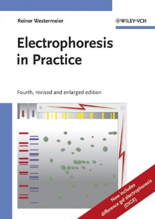 Electrophoresis in Practice: A Guide to Methods and Applications of DNA and Protein Separations, 4th, Revised and Updated Edition фото книги