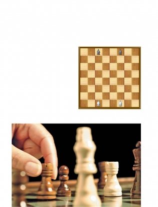 Шахматы: история, правила, навыки, тактики фото книги 8