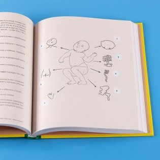 Мама, я пошел! Энциклопедия двигательного развития детей с 0 до 18 месяцев фото книги 9