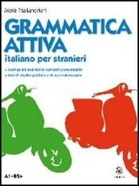 Grammatica attiva A1-B2. Italiano per stranieri фото книги