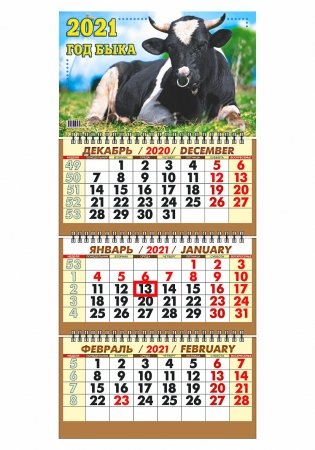 Календарь настенный "Символ года. Брутал" на 2021 год фото книги