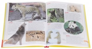 Большая иллюстрированная энциклопедия для детей фото книги 2