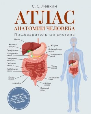 Атлас анатомии человека. Пищеварительная система фото книги