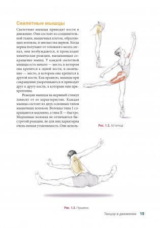 Анатомия танца (новая редакция) фото книги 13