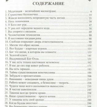 Бунтарский дух и религиозный человек. Тишина всегда громче крика фото книги 2
