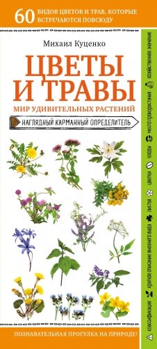 Цветы и травы. Мир удивительных растений фото книги