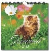 Котята. Календарь на 2015 год. Настенный перекидной с ригелем фото книги