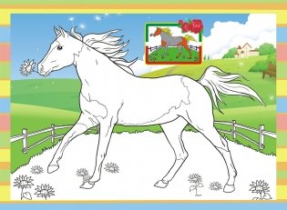 Раскраска "Лошади" фото книги 2