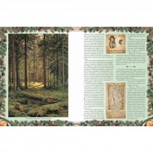 Беседы о русском лесе фото книги 3