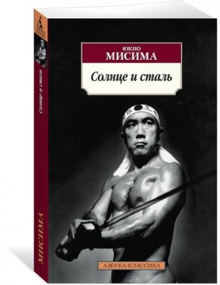 Солнце и сталь фото книги