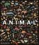 Animal. Exploring the Zoological World фото книги маленькое 2